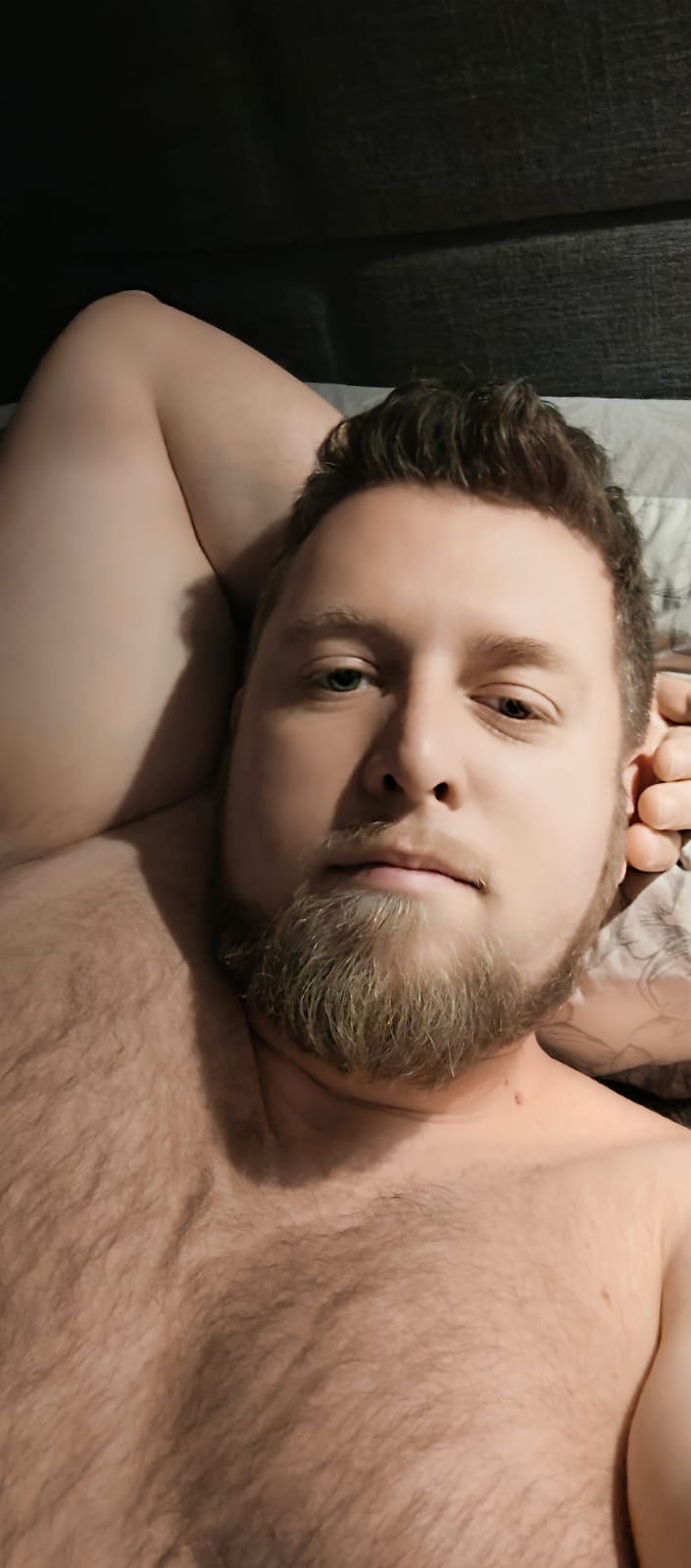 Profil de Chemseddine